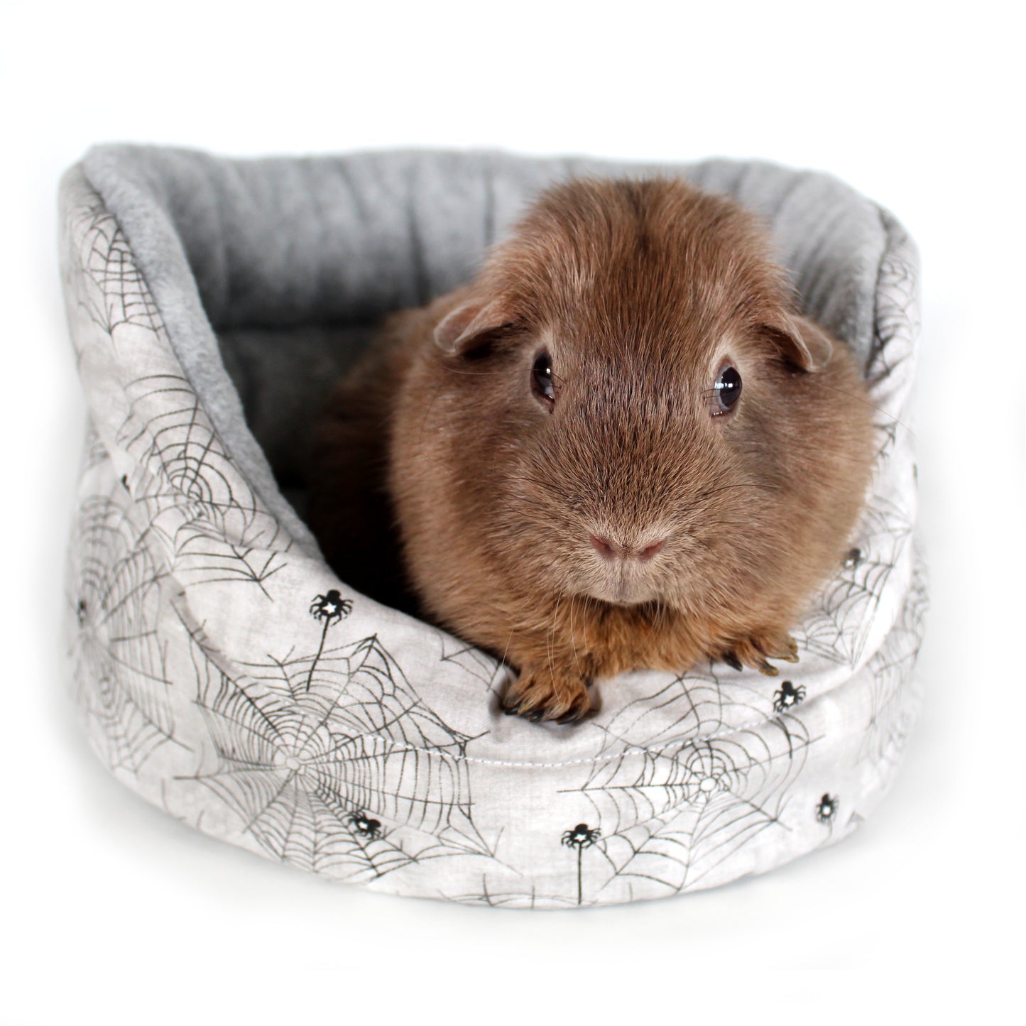 Halloween Spider Guinea Pig Accessory Bundle, Front view of the Cuddle cup Bed for Guinea Pigs 