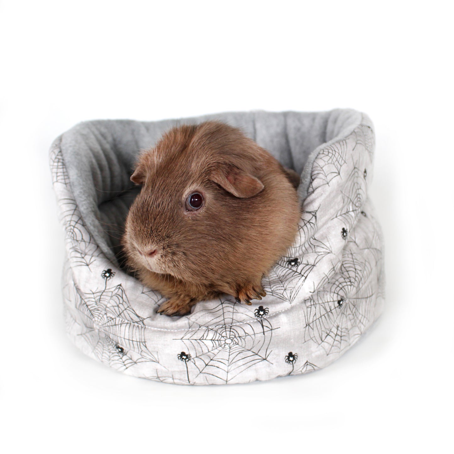 Halloween Spider Guinea Pig Accessory Bundle, Front view of the Cuddle Cup Bed with a happy guinea pig inside