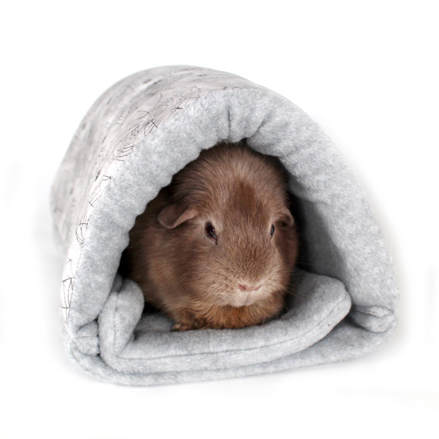 Halloween Spider Guinea Pig Accessory Bundle, Front View of the Snuggle Tunnel for Guinea Pigs with a happy guinea Pig inside