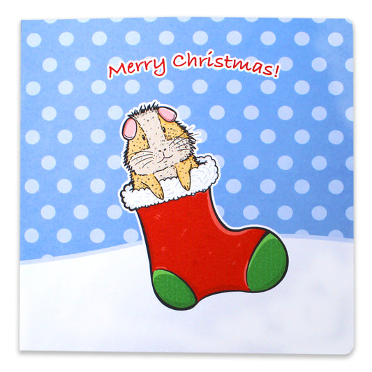 Guinea Pig In Christmas Stocking Greetings Card