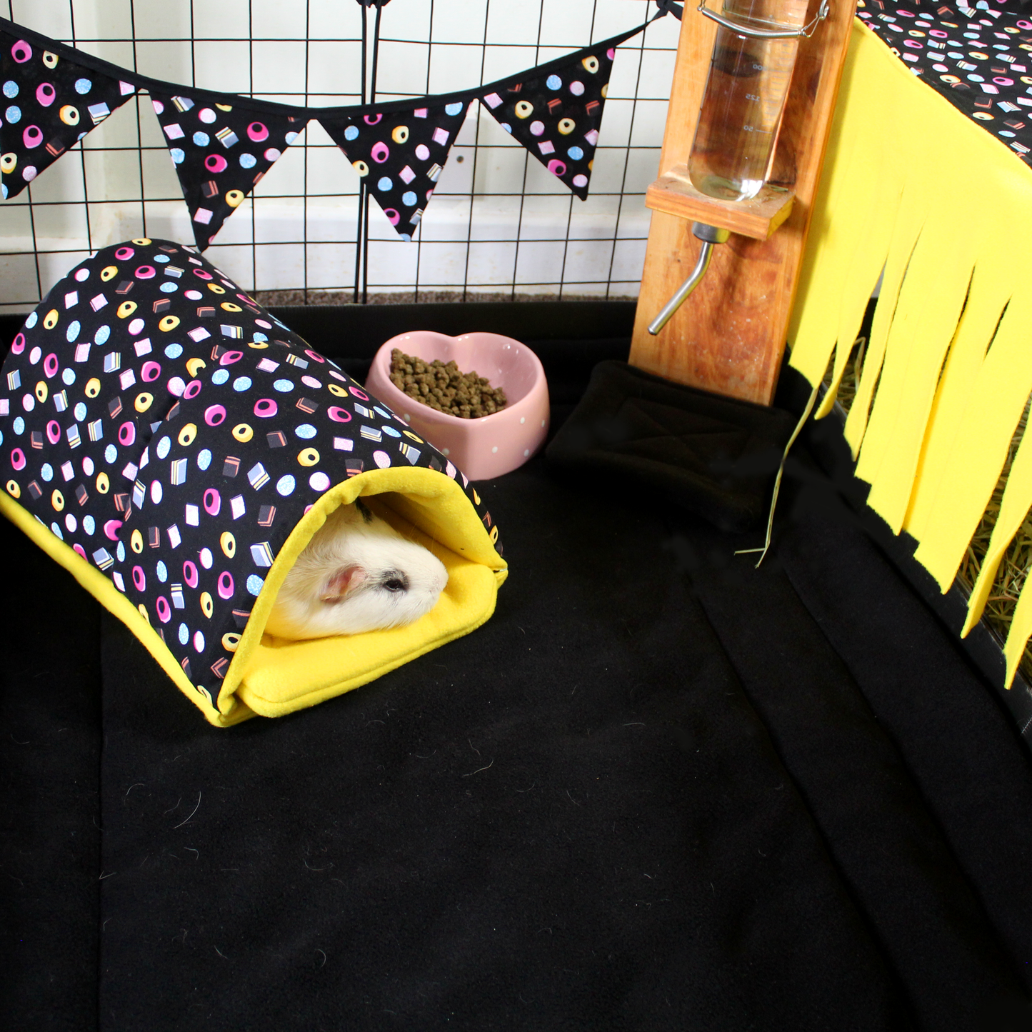 Liquorice Allsorts Squish Tunnel