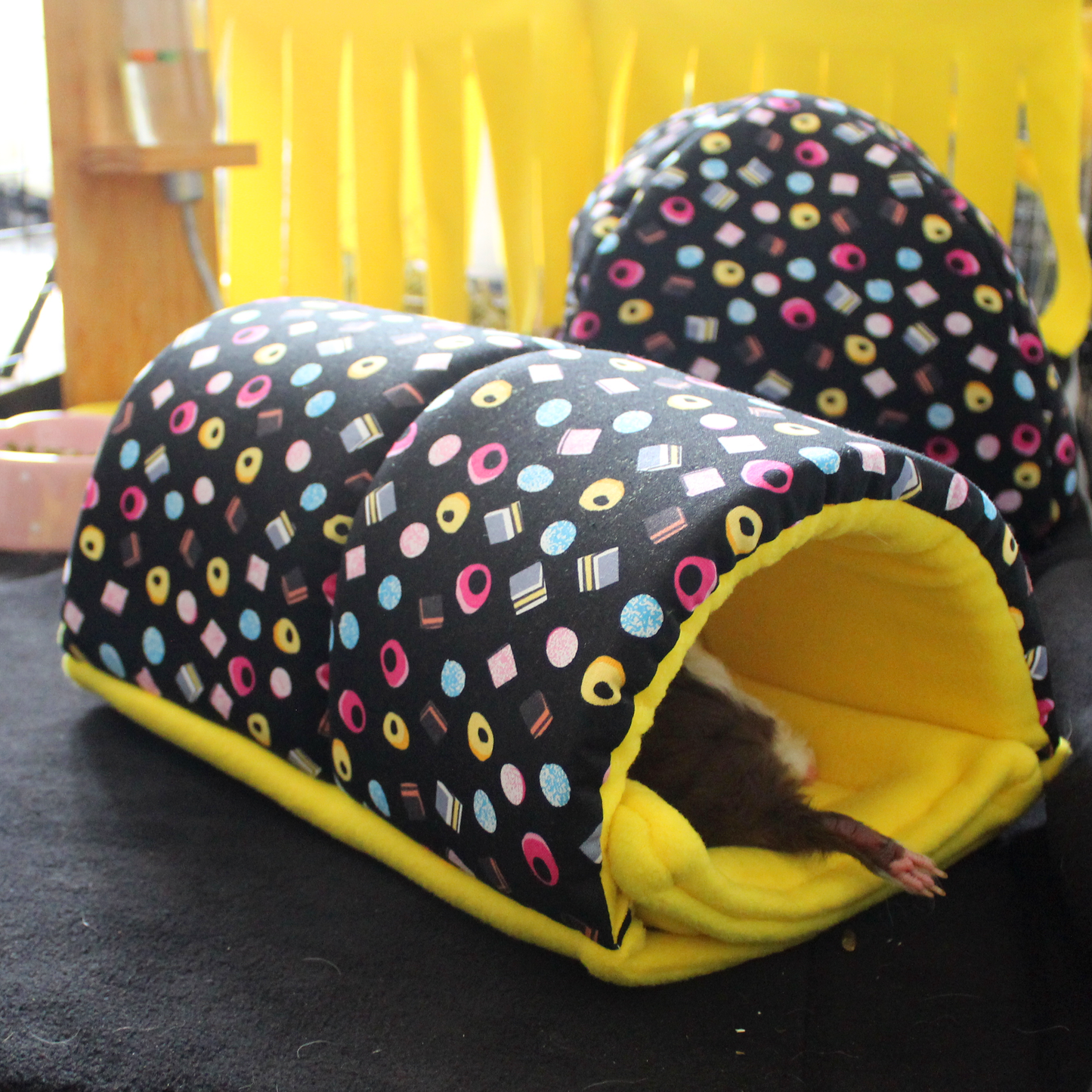 Liquorice Allsorts Squish Tunnel