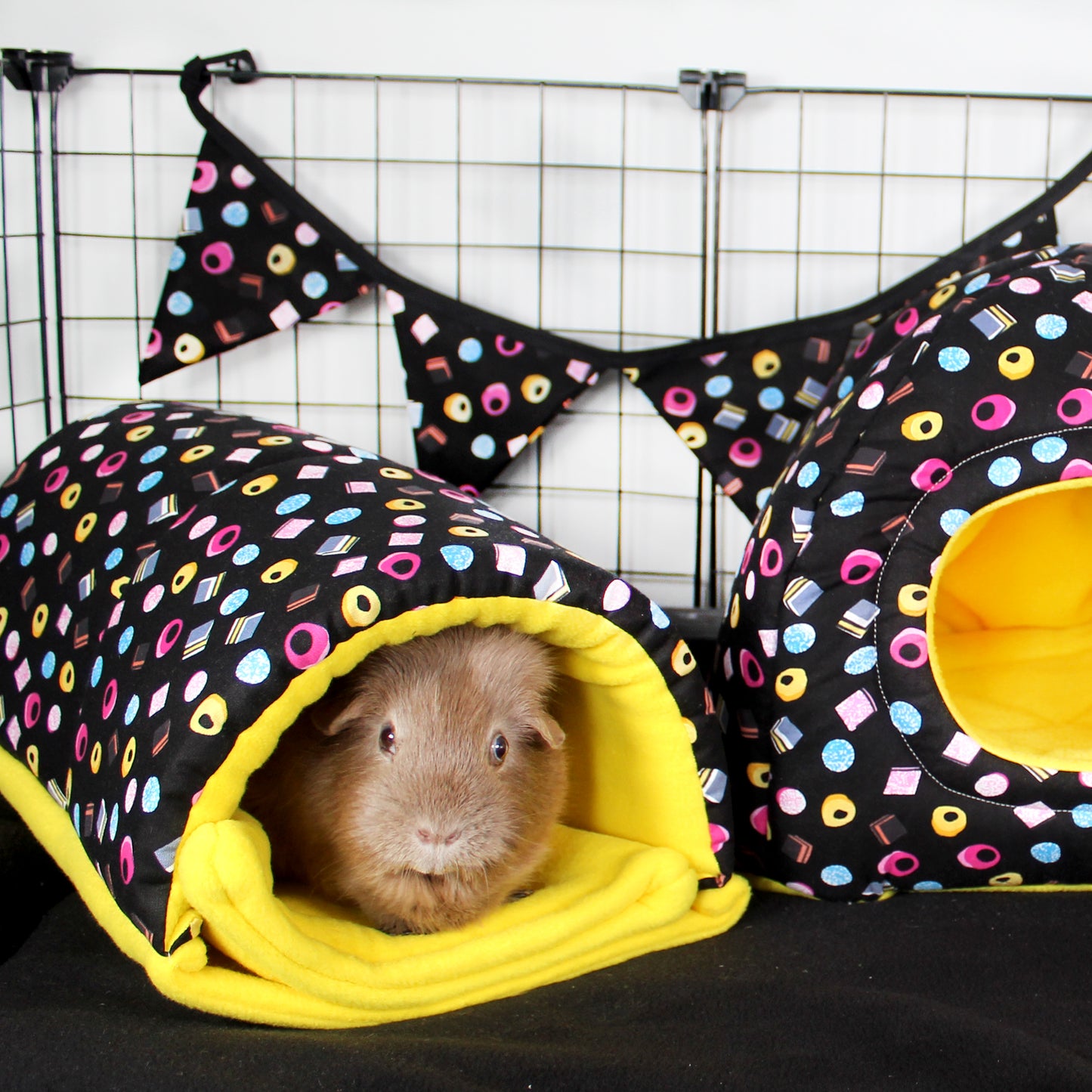 Small Liquorice Allsorts Bunting, demonstration showing how it would look in a guinea pig cage 