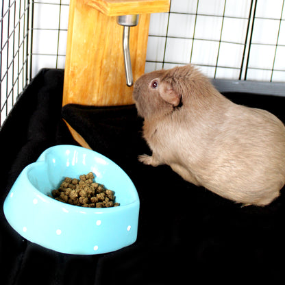 Pair Of Black Water Bottle Drop Pads, under a water bottle  with a guinea pig drinking