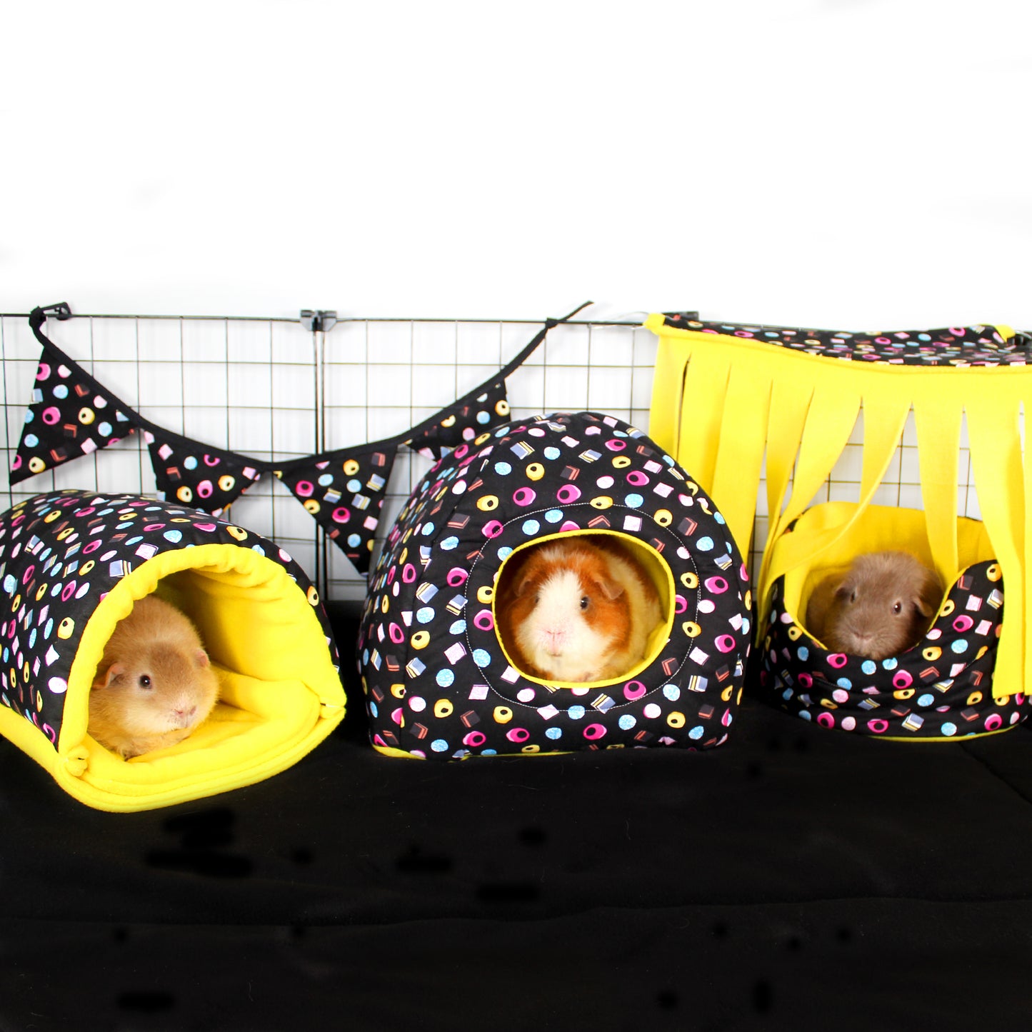 Liquorice Allsorts Squish Tunnel