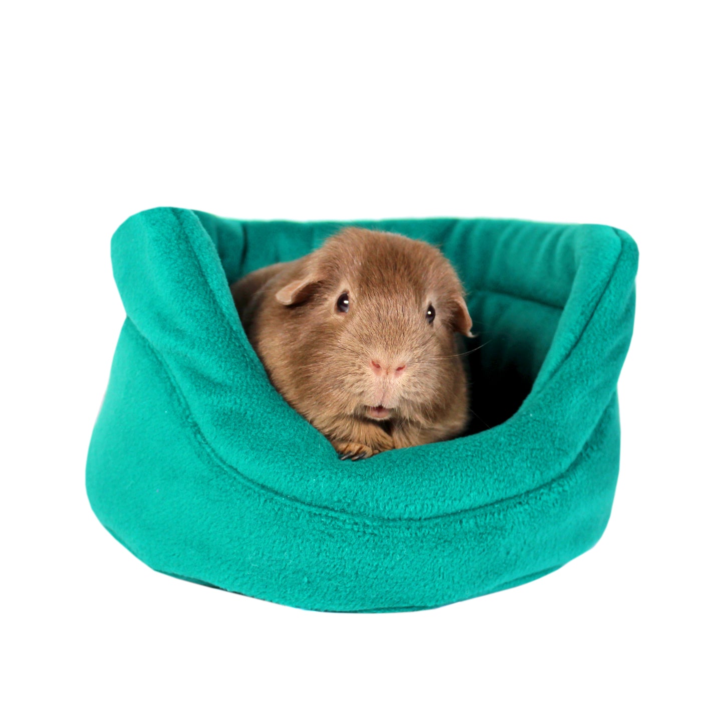 Teal Guinea Pig Cuddle Cup, front view with guinea pig