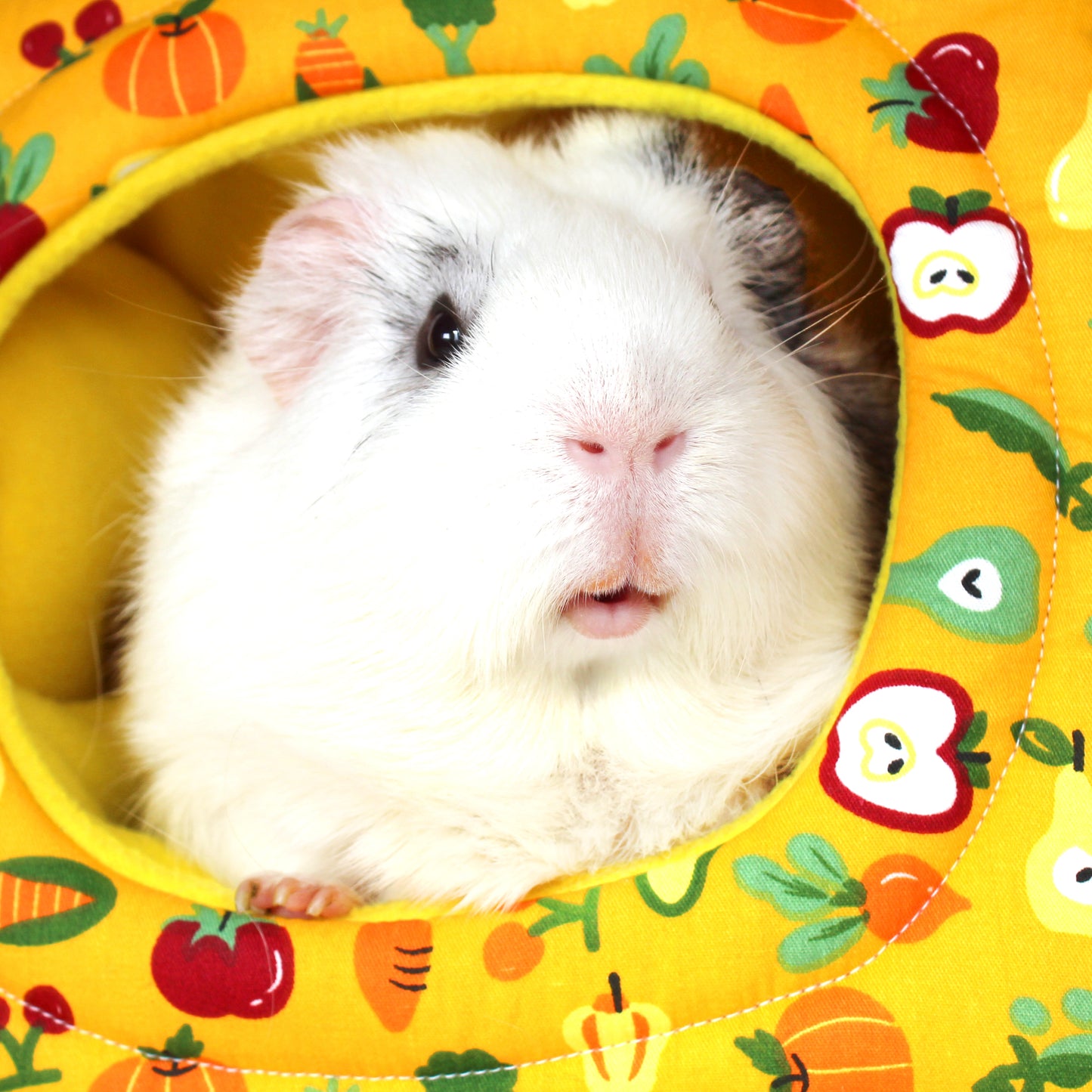 Fruit and Vegetable Hidey House For Guinea Pigs, close up view of the opening with happy guinea pig