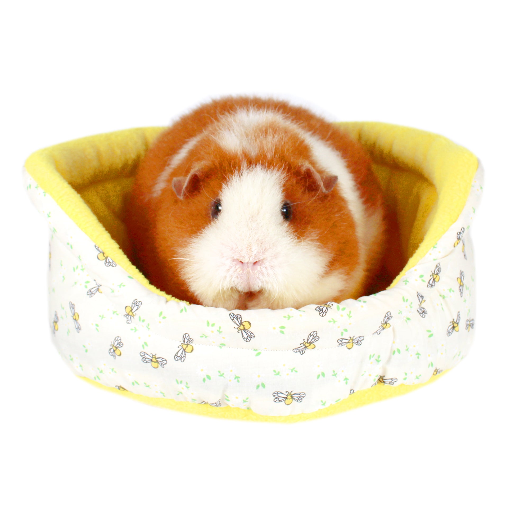 Yellow Bee Pattern Bed for Guinea Pigs, front view with guinea pig inside